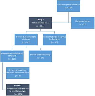 Factors Associated With Survival and Return to Function Following Synovial Infections in Horses